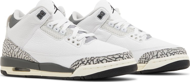 Air Jordan 3 Retro GS Hide N