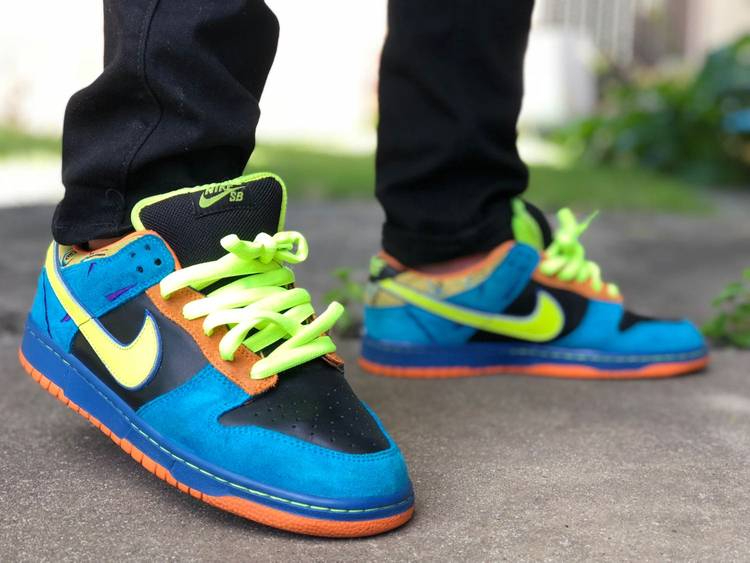 Dunk Low Pro SB 'Skate Or Die' 304292-073