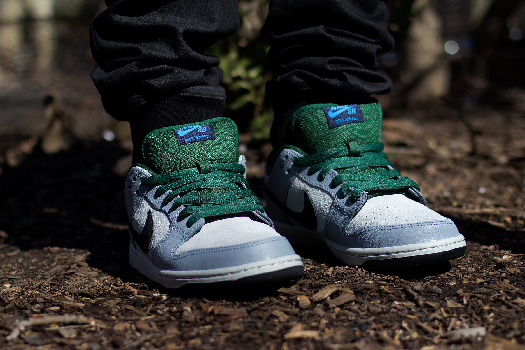 Dunk Low Premium SB 'Maple Leaf' 313170-021